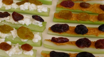 An image showing Bugs On A Log